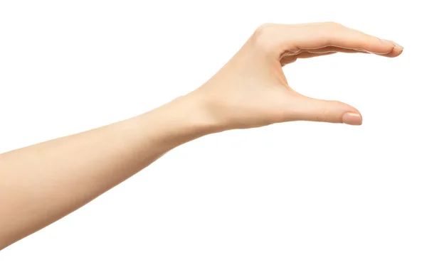 Sujeta con la mano un objeto pequeño aislado en blanco. Los dedos de las manos femeninas pellizcan o sostienen elementos invisibles — Foto de Stock