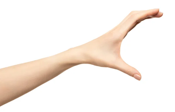 Рука жінки схоплює або вимірює щось ізольоване на білому — стокове фото