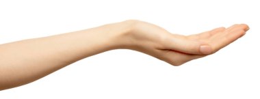 Avuç içi boş, beyaz üzerinde izole bir şekilde uzanmış kadın eli. Nesneleri göstermek veya almak için avuç içini yukarı kaldır