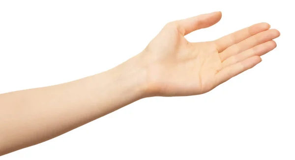 Primer plano de la hermosa mano femenina, palma hacia arriba. Aislado sobre fondo blanco. Brazo mujer presentando palma abierta — Foto de Stock