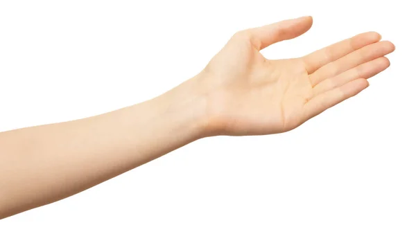 Close-up of beautiful female hand, palm up. Isolated on white background. Woman arm presenting open palm — Stock Photo, Image