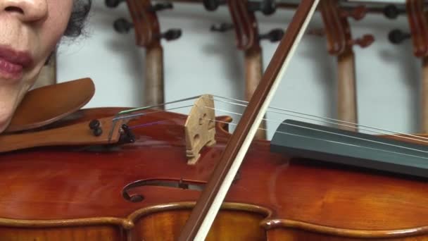 Violín. — Vídeo de stock