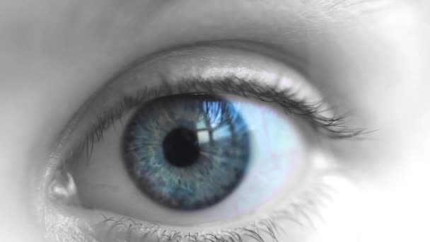 Oeil d'enfant 