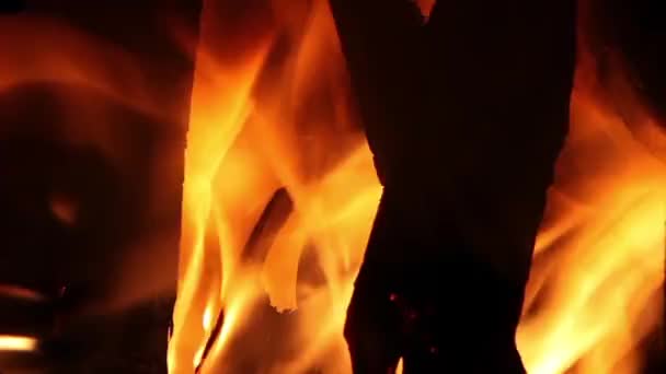 gros plan du feu