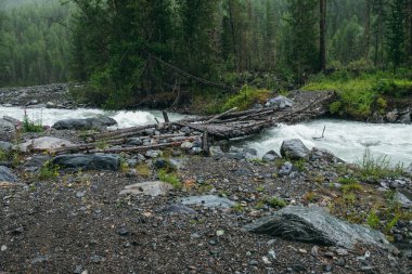 Atmosferik yağmur manzarası, orman ve dağ nehri üzerindeki köprü. Yağmurda güçlü bir nehir olan karanlık orman manzarası. Yağmur yağarken dağ nehri boyunca köprü. Yağmurlu havada dağ deresi.