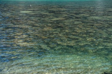 Dağ gölünün meditasyon dalgası. Güneş ışığında, buzdan gölün şeffaf sularında taş zeminin güzel rahatlatıcı arka planı. Güneşli zemin ve yeşil berrak sularda bir sürü taş..