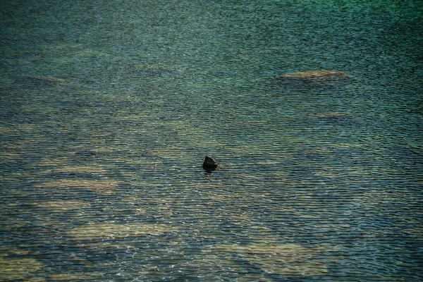 Szczelina Medytacyjna Górskiego Jeziora Piękne Relaksujące Tło Kamiennego Dna Turkusowej — Zdjęcie stockowe