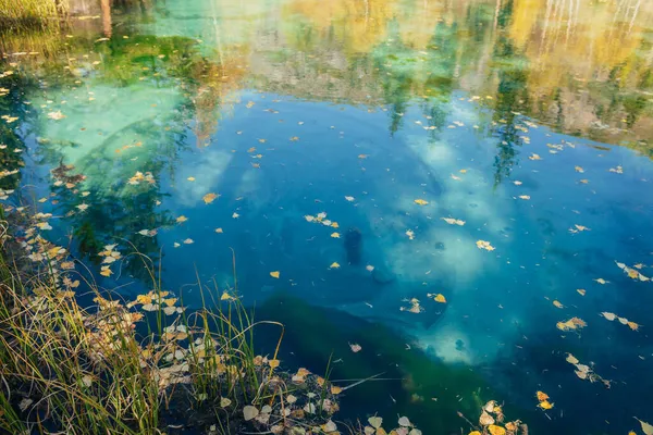 Желтые Осенние Листья Прозрачной Водной Поверхности Горного Озера Отражением Золотых — стоковое фото