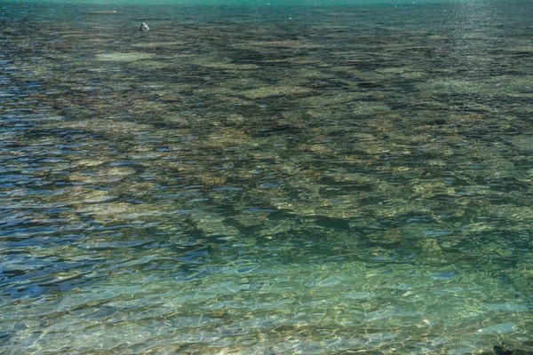 Dağ gölünün meditasyon dalgası. Güneş ışığında, buzdan gölün şeffaf sularında taş zeminin güzel rahatlatıcı arka planı. Güneşli zemin ve yeşil berrak sularda bir sürü taş..