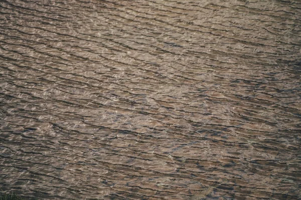 Monochromatyczna Faktura Złotej Spokojnej Wody Jeziora Medytacyjne Fale Słonecznej Powierzchni — Zdjęcie stockowe