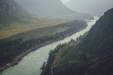 Geniş dağ nehri olan puslu dağ manzarası. Sis içindeki iki dağ nehrinin birleştiği koyu yeşil kasvetli manzara. Büyük nehirlerin yağmurlu havada birleşmesine karanlık atmosfer manzarası.