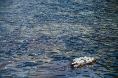Dağ gölünün mavi berrak suyunda taşla çevrili güzel bir arka plan. Buzul gölünün mavi su yüzeyindeki dalgaların sahne doğası. Buzul gölünün taşlı en küçük parçası..
