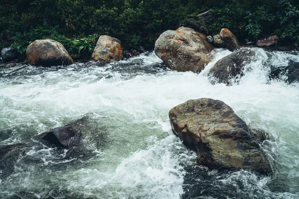 근처에 강에서 커다란 바위들이 아름다운 아름답다 산등성이와 산지의 식물로 이루어진 — 스톡 사진