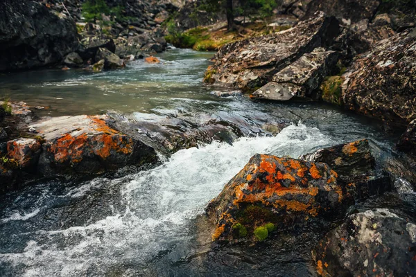 Fundo Natureza Cênica Turquesa Fluxo Água Clara Entre Rochas Com — Fotografia de Stock