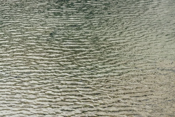 황금빛 청록색의 호수가 모양을 이루고 표면에는 명상적 물결이 자연은 황금빛 — 스톡 사진