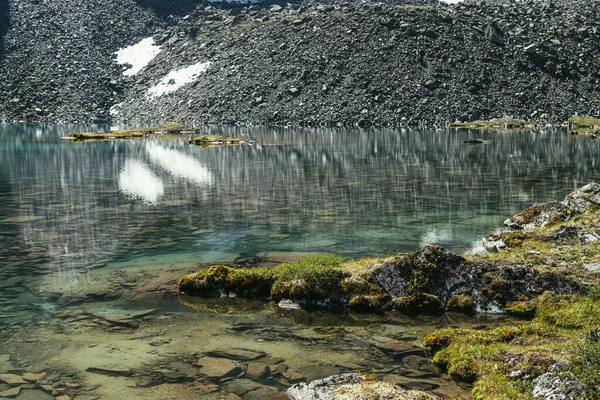在阳光下 山湖水边附近长满苔藓和青草的岩石 以鳄鱼或蜥蜴形状出现在冰川湖边缘的岩石上的山地植物景观 阳光明媚的风景 — 图库照片