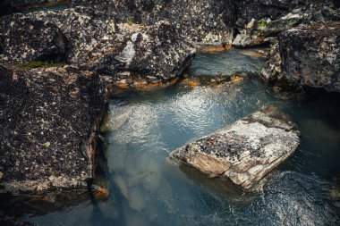 Turkuazın doğal arka planı yosunlu ve likonlu kayalar arasında berrak su akıntısı. Atmosferik dağ manzarası, şeffaf dağ deresinde yosunlu taşlar. Güzel dağ deresi.
