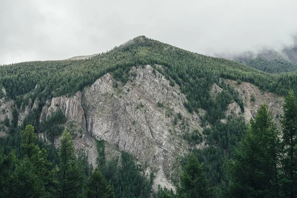 Paisaje Atmosférico Con Pared Alta Montaña Con Pináculo Forestal Cielo — Foto de Stock