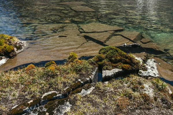 Slunečné Krásné Scenérie Mechy Travinami Kamenech Blízkosti Břehu Horského Jezera — Stock fotografie