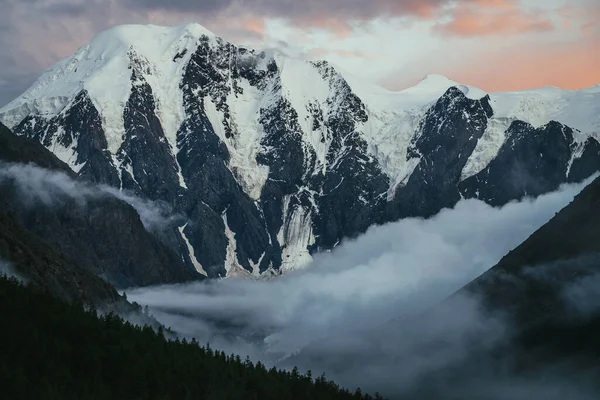 Stimmungsvolle Alpine Landschaft Mit Baumsilhouetten Vor Dem Hintergrund Großer Schneebedeckter — Stockfoto