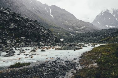 Yağmurlu havalarda morinaların arasında dağ deresi olan atmosferik bir manzara. Karlı dağlardan gelen sütlü nehrin kasvetli manzarası. Su akıntısında yosun ve liken taşları. Dağ nehri kayaların arasında.