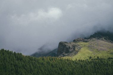 Atmosferik dağ manzarası, gri bulutlu gökyüzünde büyük kayalar. Kayalık kayalıklarda alçak bulutlar ve yeşil ormanın üzerinde sivri kayalar olan müthiş bulutlu bir manzara. Bulutlardaki güzel kayalık dağlar.