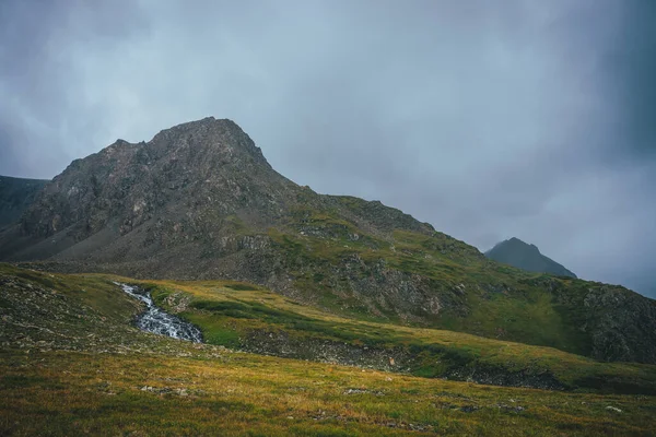 Atmosferik alp manzarası yeşil vadide güzel bir dağ deresi ve bulutlu havada büyük kahverengi keskin bir tepe. Dağ akıntısına müthiş bir dağ manzarası Bulutlu gökyüzünün altında keskin bir tepesi.