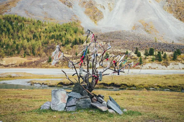 Scenic Alpine Landscape Stony Tour Multicolor Ribbons Mountain Valley Autumn — Stock Photo, Image