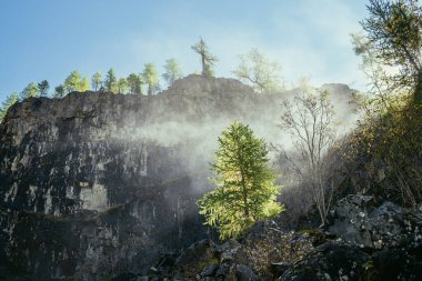 Kayalık dağ duvarının arka planında şelaleden düşen su bulutlarıyla dolu canlı bir sonbahar manzarası ve altın güneş ışığı altında kayaların üzerinde ağaçlar. Altın güneş ışığıyla kayaların üzerindeki ağaçların üzerinde güzel su bulutu