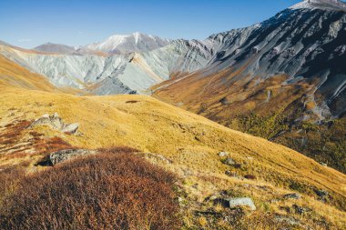 Muhteşem sonbahar manzarası, karla kaplı dağlar ve keskin kayalar. Sonbaharda dağ sırtı ve sarı vadiye muhteşem renkli bir manzara. Turuncu sonbahar renkleriyle harika dağ manzarası.