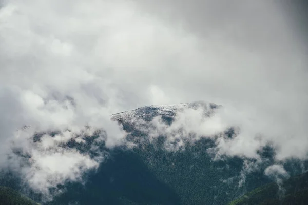 Impresionante Vista Alpina Gran Montaña Del Bosque Con Parte Superior — Foto de Stock