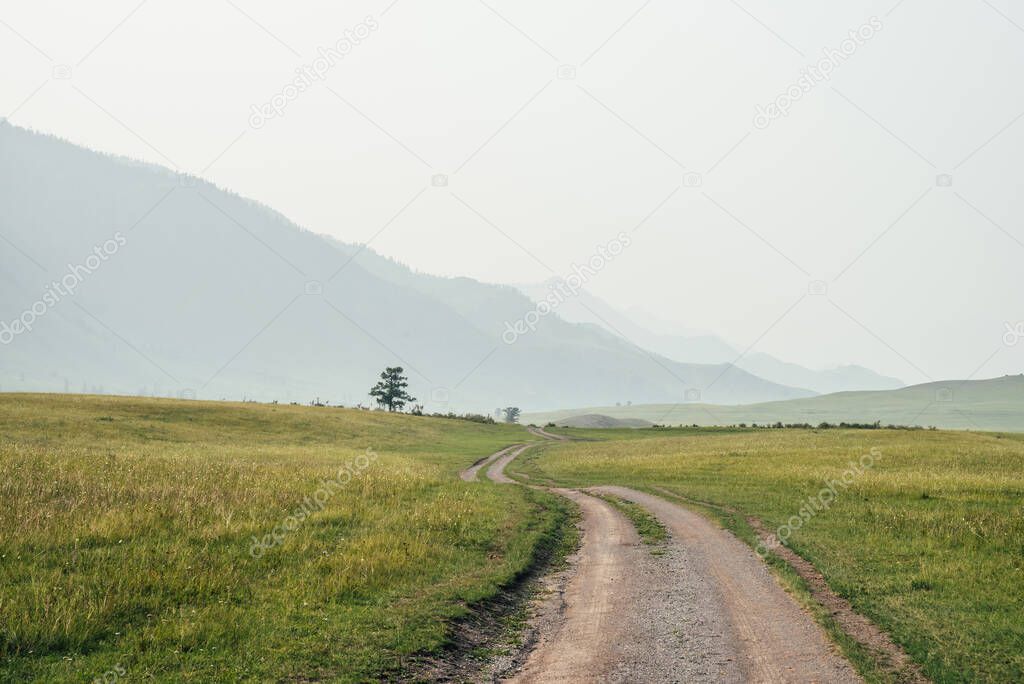 Beautiful green mountain landscape with long dirt road and big mountains in fog. Atmospheric foggy mountain scenery with length road among hills. Scenic view to tree near dirt road in big mountains.