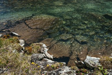 Güneşli güzel manzara, güneş ışığında dağ gölünün kenarındaki taşların üzerinde yosunlar ve otlar. Buzul gölünün kenarındaki bitki örtüsü olan manzaralı bir yer. Buzul gölünün berrak suları.