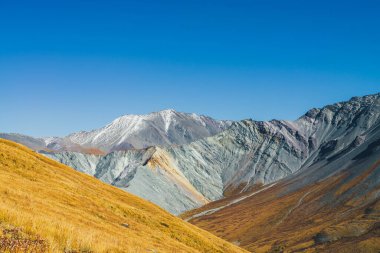 Karla kaplı dağ ve turuncu ve leylak renkli gri kayalıklarla kaplı çok renkli sonbahar manzarası. Sonbaharda keskin dağ sırtına muhteşem renkli bir manzara. Motley dağ manzarası Sonbahar renklerinde.