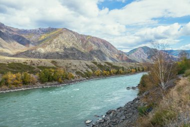 Renkli sonbahar manzarası, ağaçlarda altın yapraklar geniş turkuaz dağ nehri boyunca gün ışığında. Büyük dağ nehri ve sonbaharda altın rengi sarı ağaçlarla dolu parlak dağlık bir manzara.