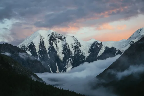 Sfeervol Alpenlandschap Met Silhouetten Van Bomen Achtergrond Van Grote Besneeuwde — Stockfoto