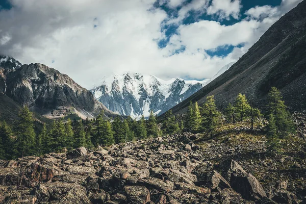 Landschappelijk Uitzicht Groen Bos Morenen Zonlicht Tegen Grote Gletsjers Hoge — Stockfoto