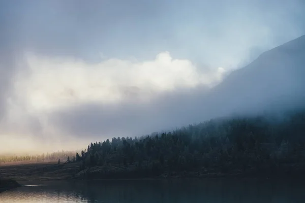 Atmosferyczny Krajobraz Drzewami Iglastymi Mrozie Wzgórzu Cieniu Gęstych Niskich Chmurach — Zdjęcie stockowe