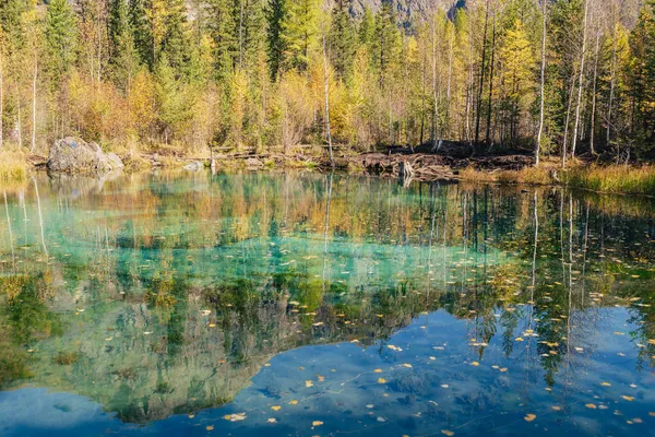 Kleurrijk Herfstlandschap Met Helder Bergmeer Bos Tussen Gele Bomen Zonneschijn — Stockfoto