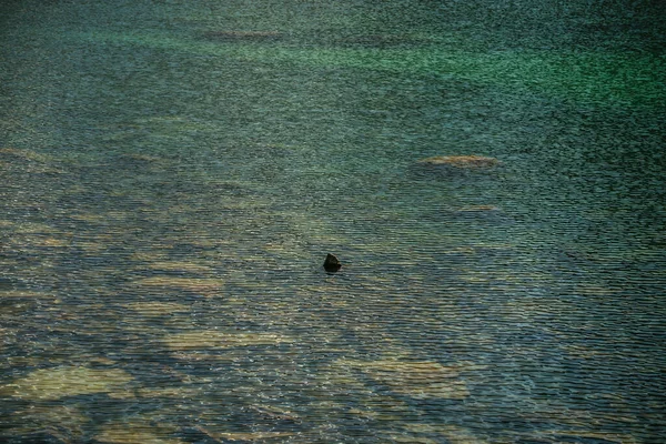 Szczelina Medytacyjna Górskiego Jeziora Piękne Relaksujące Tło Kamiennego Dna Turkusowej — Zdjęcie stockowe