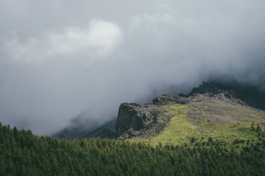 Atmosferik dağ manzarası, gri bulutlu gökyüzünde büyük kayalar. Kayalık kayalıklarda alçak bulutlar ve yeşil ormanın üzerinde sivri kayalar olan müthiş bulutlu bir manzara. Bulutlardaki güzel kayalık dağlar.