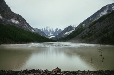 Atmosferik alp manzarası. Kuru ağaç, dağ gölünün yeşil sularında. Karlı dağlardan, bulutlu havalarda. Yeşil gölü olan kasvetli bir manzara Yağmurlu daireler ve dağ vadisinde alçak bulutlar