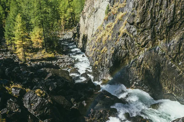 Atmosférická Podzimní Krajina Duhou Nad Bouřlivou Horskou Řekou Mezi Skalami — Stock fotografie