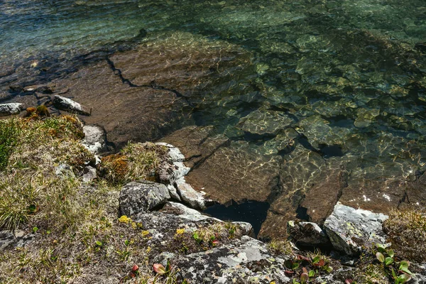 Slunečné Krásné Scenérie Mechy Travinami Kamenech Blízkosti Břehu Horského Jezera — Stock fotografie