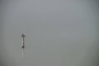 Atmosferik sisli arka plan ve göl yüzeyinde ağaç gövdesi. Dağ gölünün gri sularında sis içinde bir engel. Gümüş su yüzeyinin minimum doğa arkaplanı ve tek başına puslu bir engel..