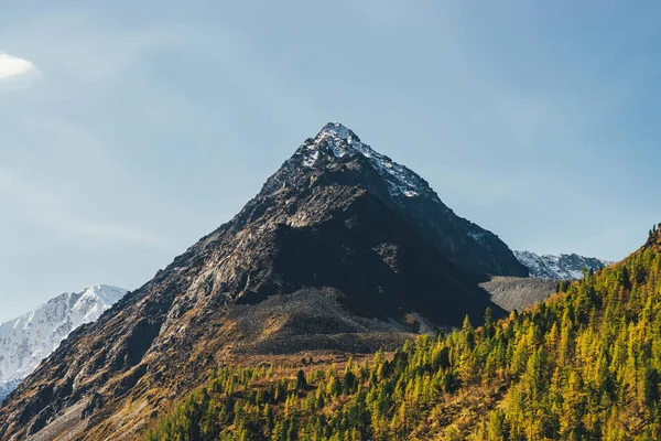 Scenic Berglandschap Met Zonovergoten Gouden Lariks Bomen Hoge Besneeuwde Scherpe — Stockfoto