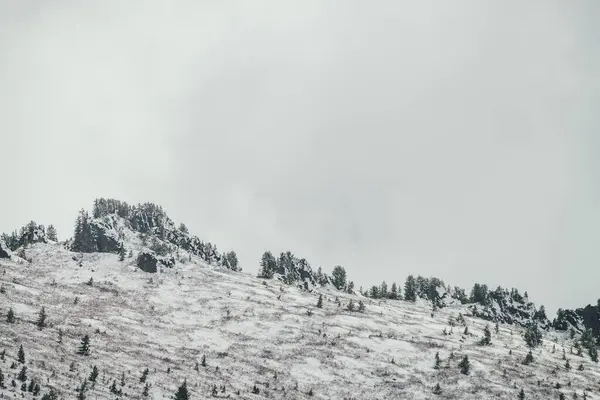 Zimowy Krajobraz Śnieżną Górą Lasem Iglastym Szpiczastym Wierzchołkiem Drzewami Szczycie — Zdjęcie stockowe