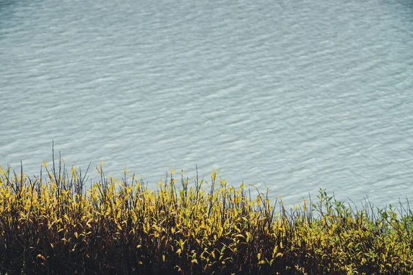 Fundo Natureza Outono Meditativo Com Folhas Douradas Acima Água Lago — Fotografia de Stock