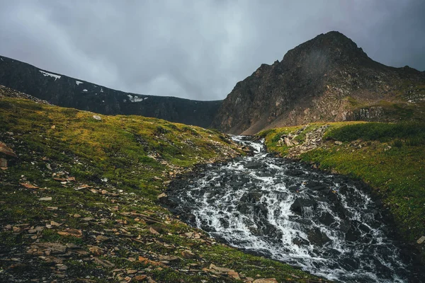 Atmosferik alp manzarası yeşil vadide güzel bir dağ deresi ve bulutlu havada büyük kahverengi keskin bir tepe. Dağ akıntısına müthiş bir dağ manzarası Bulutlu gökyüzünün altında keskin bir tepesi.