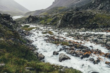 Atmosferik manzara, dağ gölü ve dağ deresi yağmurlu havalarda morinaların arasında. Saman nehri ve kayaların arasında gölle kaplı kasvetli bir manzara. Süt dağı nehri ve gölün kasvetli manzarası.